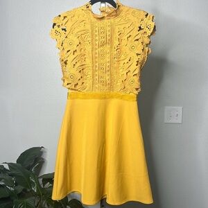 Lace Mini Dress SizeSmall -Ina Yellow Flutter Sleeve Mock Neck, Back zip closure